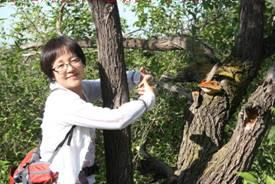 pg电子官方网站